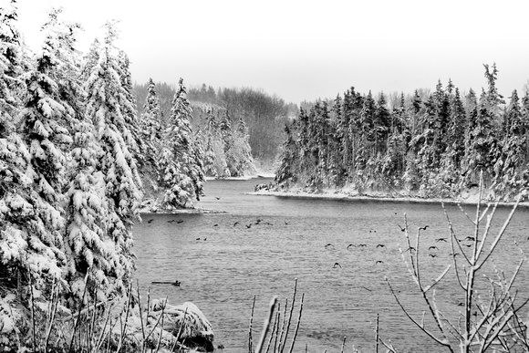 Souris River Winter-
